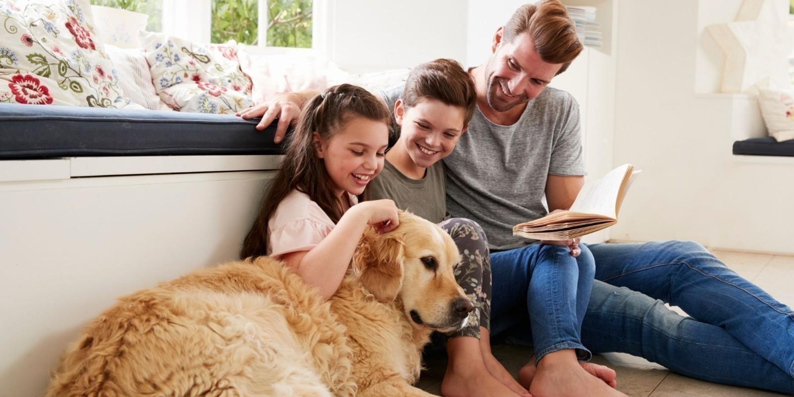 Guia Completo para uma Casa Segura para Crianças e Pets